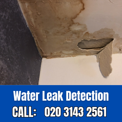 Expert Water Leak Detection Services in Balham | Balham Leak Detection